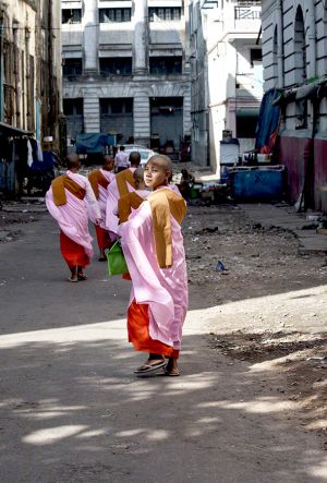Young Buddhist Nuns in Central Yangon